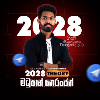 2028 Theory Telegram channel DP
